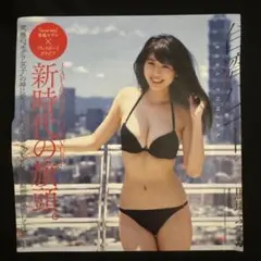 レア】週刊プレイボーイグラビアスペシャルGW 石川恋 馬場ふみか