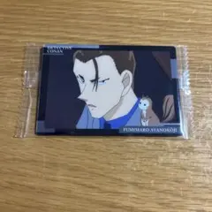 名探偵コナン 綾小路文麿 紅の修学旅行 花鳥 缶バッジ 名探偵コナン 綾小路文麿 紅の修学旅行 花鳥 缶バッジ 名探偵