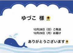 ★ ゆづこ 様 朝採れ新鮮！お野菜セット ★