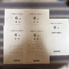 2025年最新】サピックス 11月マンスリーの人気アイテム - メルカリ