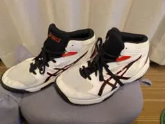 ASICS ダンクショット 23.5cm