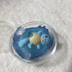 10/14まで ポケモン ゼニガメ テラリウム