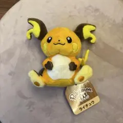 Pokemon fit ライチュウ