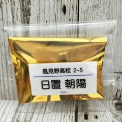 Item thumbnail for item 7c8449c4-70cf-4d74-9e63-d88074e0a2f6