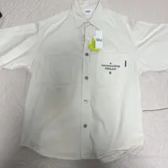 Item thumbnail for item 9bc16b44-1862-446e-bd70-0bfa3a30c409