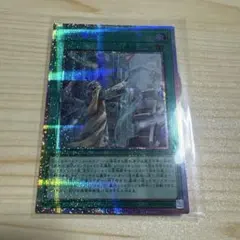 ARS10】遊戯王 水霊媒師エリア ROTA-JP023 グレード10 - メルカリ