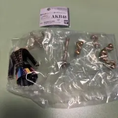 AKB48 カプセルトルソー フィギュア ヘビーローテーション ②