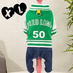 Item thumbnail for item 30ebc157-3efc-425b-9c07-9e4be5112fa7