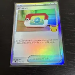 ポケパッド　サーフゴーエラー