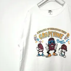 カリフォルニアレーズン