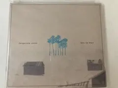 hex in flux / forgotten trees