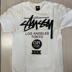 Item thumbnail for item b4260a33-5f76-453a-b19b-9ec9df05c827