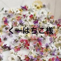 くーはちこ様 リクエスト 2点 まとめ商品