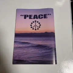 Item thumbnail for item 296c6979-b829-4bdf-a006-9d34ac49a6b2