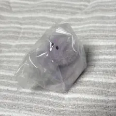 ワーリーフレンズ フロッキーフィギュア パプリー