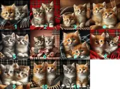 商品オーダー用　2サイズから選べる　猫パネル　17cm25cm　パネル生地