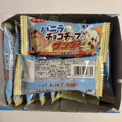 バニラ＆チョコチップのサンダー 20本 プライズ 匿名配送