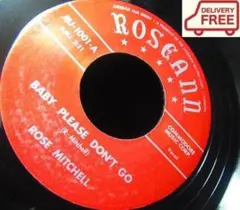 【激レア・ポップコーンR&B】『Baby Please Don't Go』モッズ