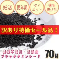 ブラッククミンシード　妊活　不妊　妊娠　更年期　葉酸　亜鉛　鉄分　スーパーフードのサムネイル