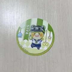 からぴち　カラフルピーチ　東京ドームシティアトラクションズ　缶バッジ　シヴァ 商品詳細ページ - エニマイ