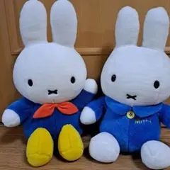 Item thumbnail for item 6be2ce5d-345c-4f5e-bb5c-3950f5d1dd77