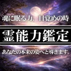 【1日1名様限定】　霊能力・霊視・運気・第六感・才能・覚醒・潜在能力・占い・鑑定