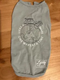 Item thumbnail for item 7783d95d-1e3d-4818-bf82-b6d5281c1d2a