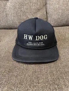 キャップ メッシュ DOGTOWN 【激レア】　90s アメリカ　黒　ベニスタグ メッシュ ドッグタウン 黒 Cap Mesh Panel 5 Logo DOGTOWN 80s～90s 帽子