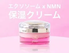 Item thumbnail for item 0b7bb0ec-93c5-45e3-a26d-3e503f054720