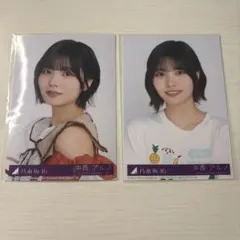 乃木坂46 生写真　ビリヤニ　封入