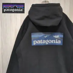 patagonia ボードショーツ・ロゴ・アップライザル　　　 フーディ L