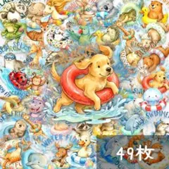 【U69】シール 49枚 PET ステッカー 動物 アニマル コラージュ素材
