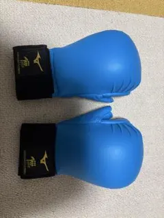 Item thumbnail for item dfd5f33d-0e69-41c7-b96e-88a3650bb0f8