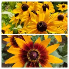 さっちゃん様 リクエスト 2点 まとめ商品