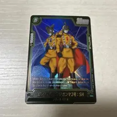 ガンマ1号:SH/ガンマ2号:SH