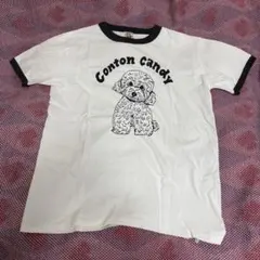 Conton Candy プードルT　「そばにいるからね」リンガーTシャツ