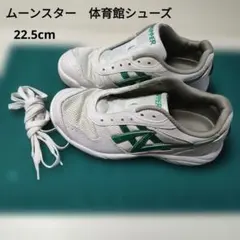 ムーンスター 体育館シューズ 室内履き 22.5 cm