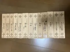 ドストエフスキー 文学・小説