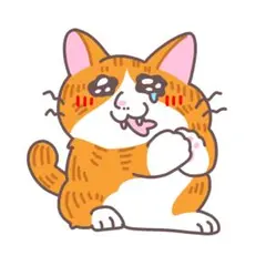 猫イラスト キクラゲ餃子様専用