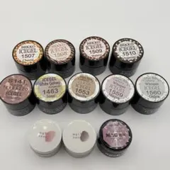 enoi ICEGEL ageha カラージェル マグネットジェル 12個セット