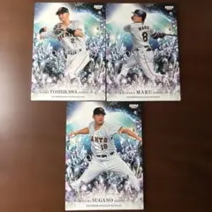 東京読売ジャイアンツ BBMカード 菅野智之 吉川尚輝 丸佳浩