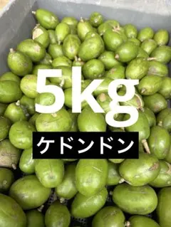 5kg)ケドンドン/タヒチモンビン/タマゴノキ/Cóc Tươi - メルカリ