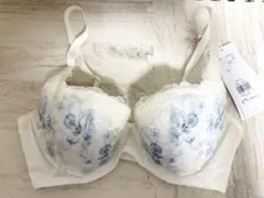 トリンプ 天使のブラ 636 定価9570円 015 C75 L - メルカリ