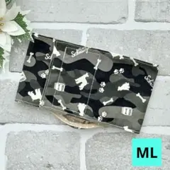 Item thumbnail for item 33fd4211-2d3d-48c6-84a2-108f249d97e6