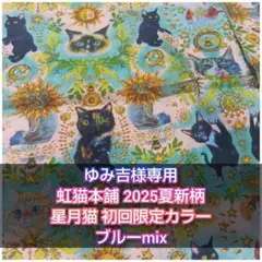 【先着】虹猫本舗 2025夏新柄 星月猫 ブルーmix オーダーページ
