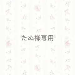 ❁たぬ様専用ページ❁
