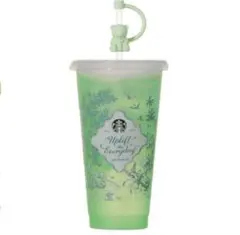 2026ミステリーカラーチェンジングリユーザブルコールドカップ710ml