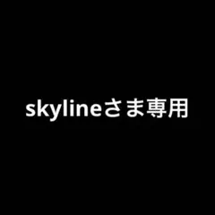 skylineさま専用