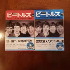 【希少紙ジャケ 2枚セット！本来の復刻】ビートルズ/赤盤、青盤/CD無 希少紙ジャケ 2枚セット！本来の復刻】ビートルズ/赤盤、青盤/CD無
