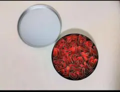 アルファベット クッキー型 抜き型 セット 収納缶付き